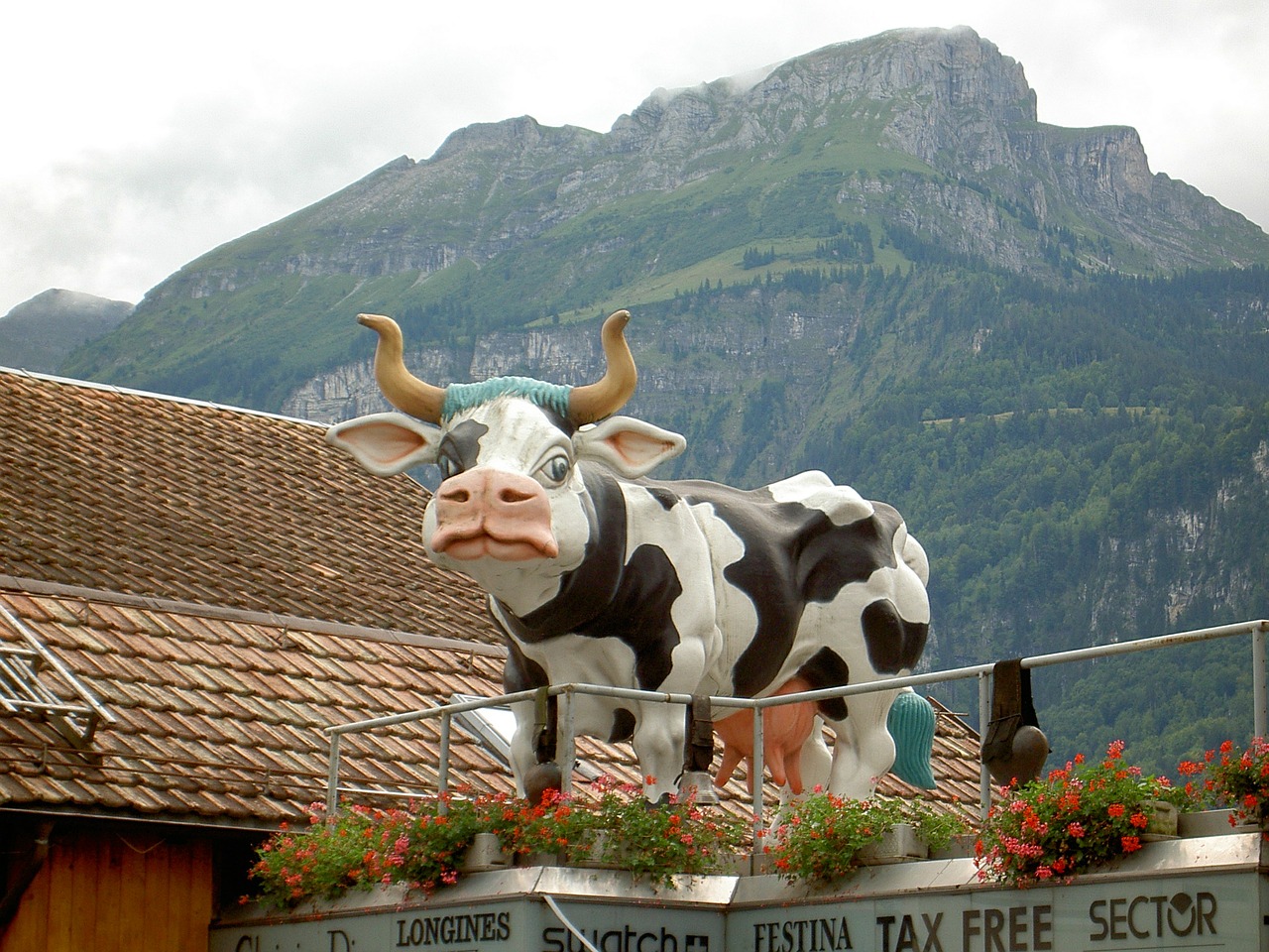 cow sculpture switzerland free photo