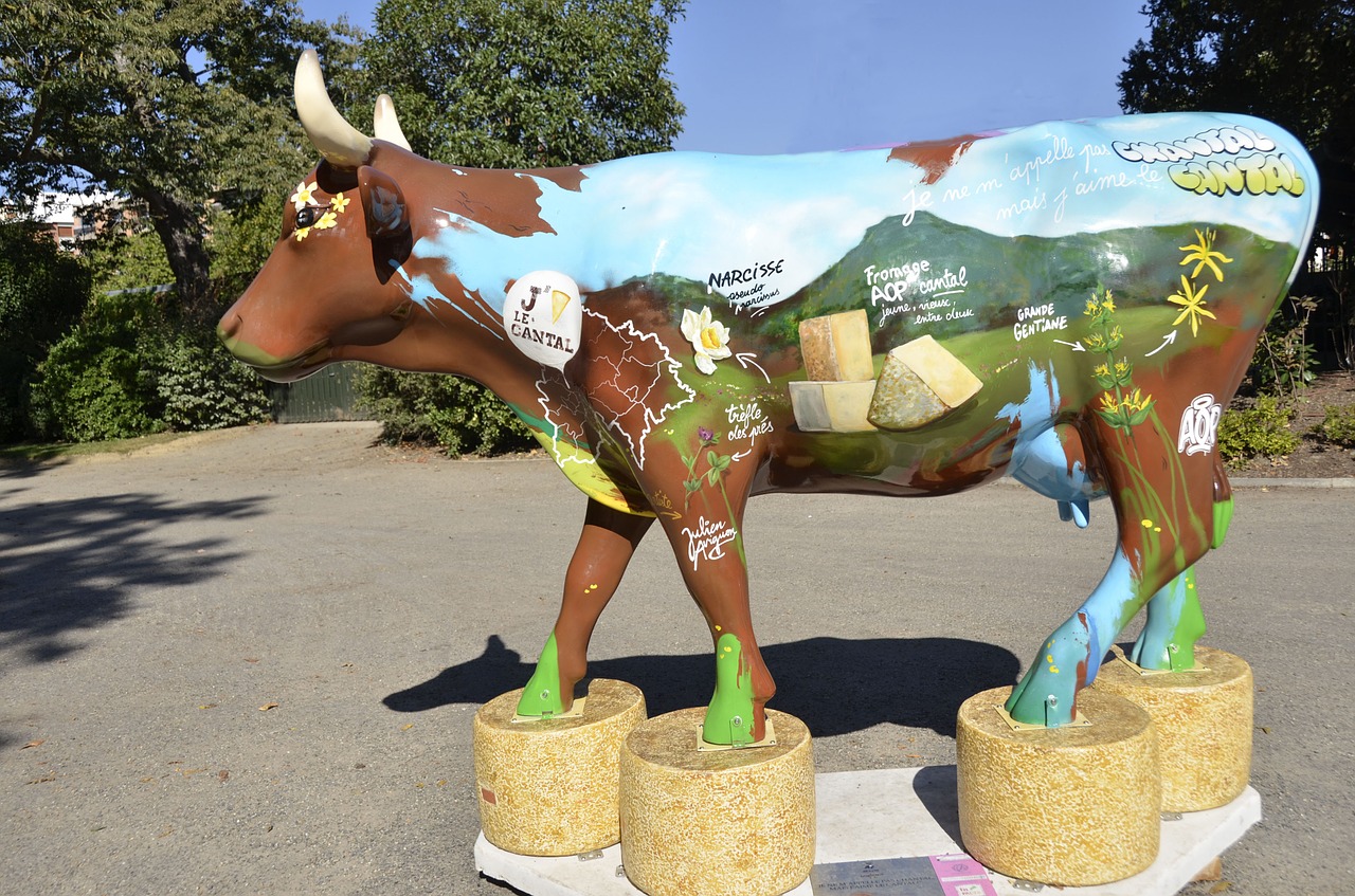 cow cheese cantal free photo