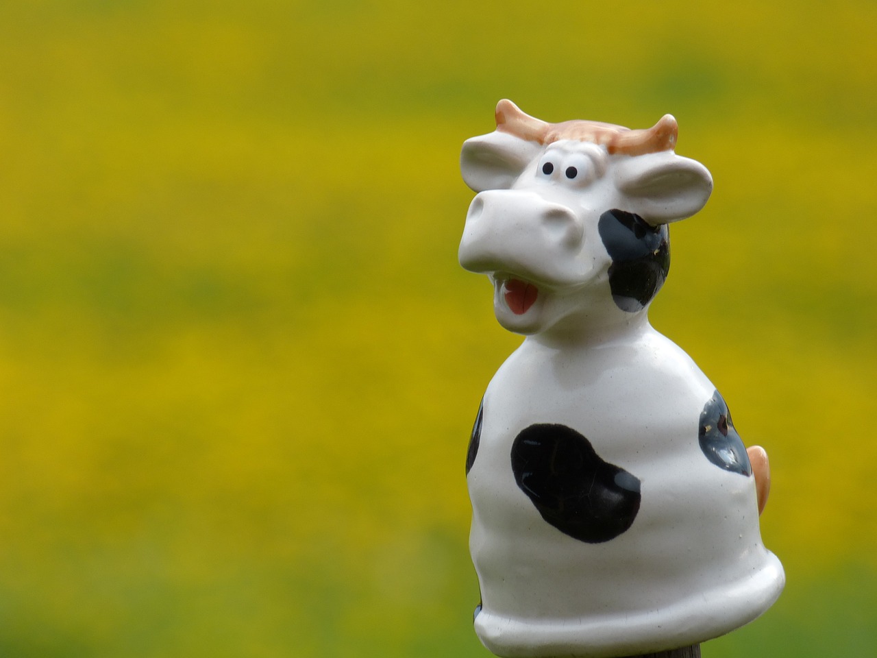 cow funny figure free photo