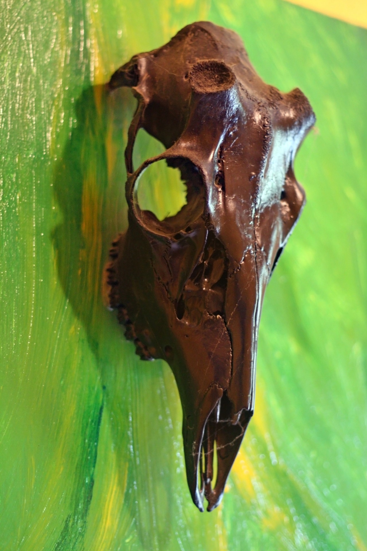 cow skull skull painted free photo