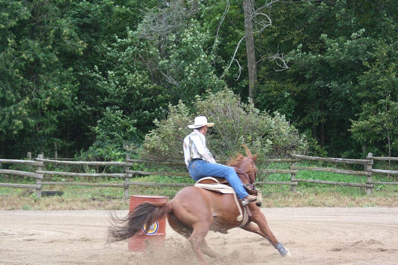 cowboy rodeo barrel racing free photo