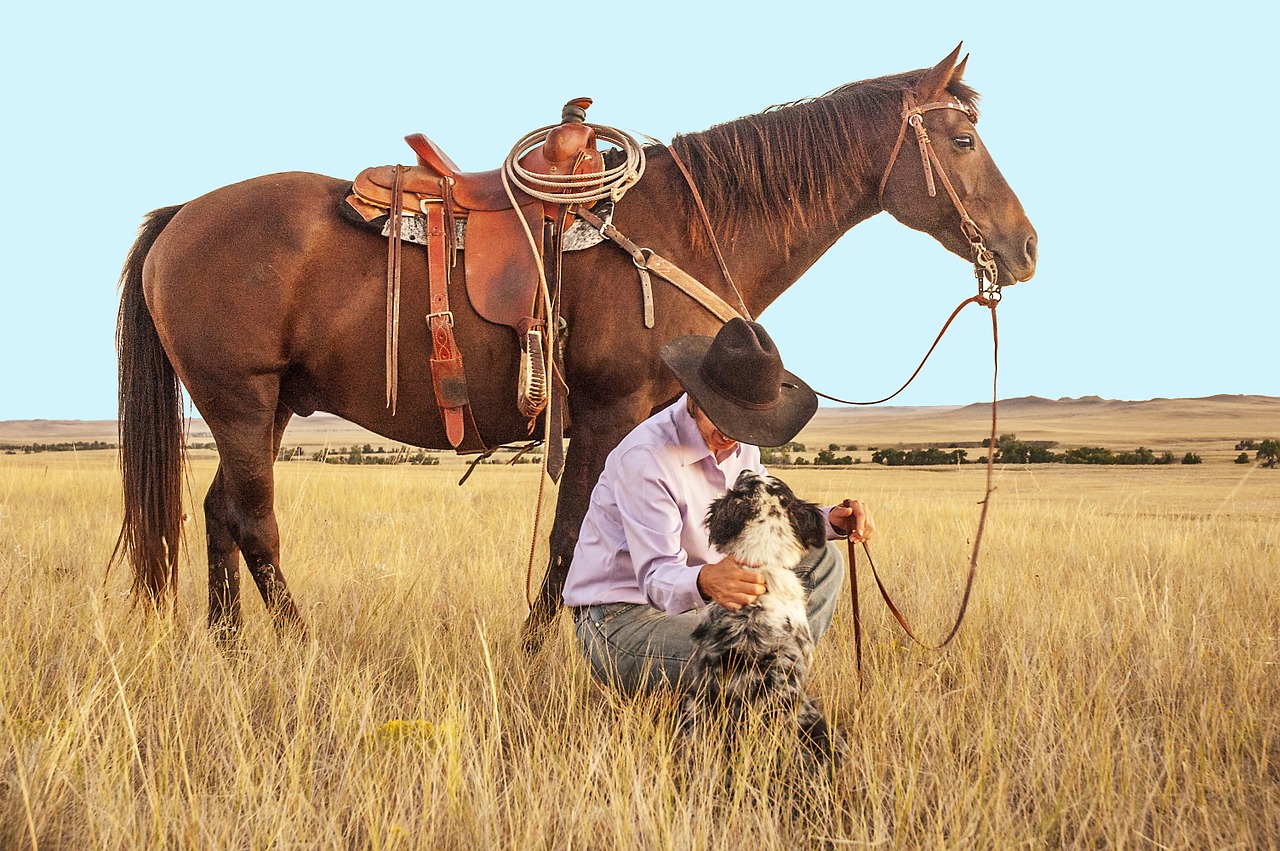 cowboy horse dog free photo