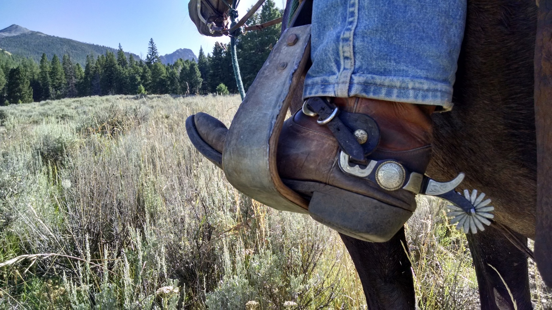 cowboy boots horse free photo
