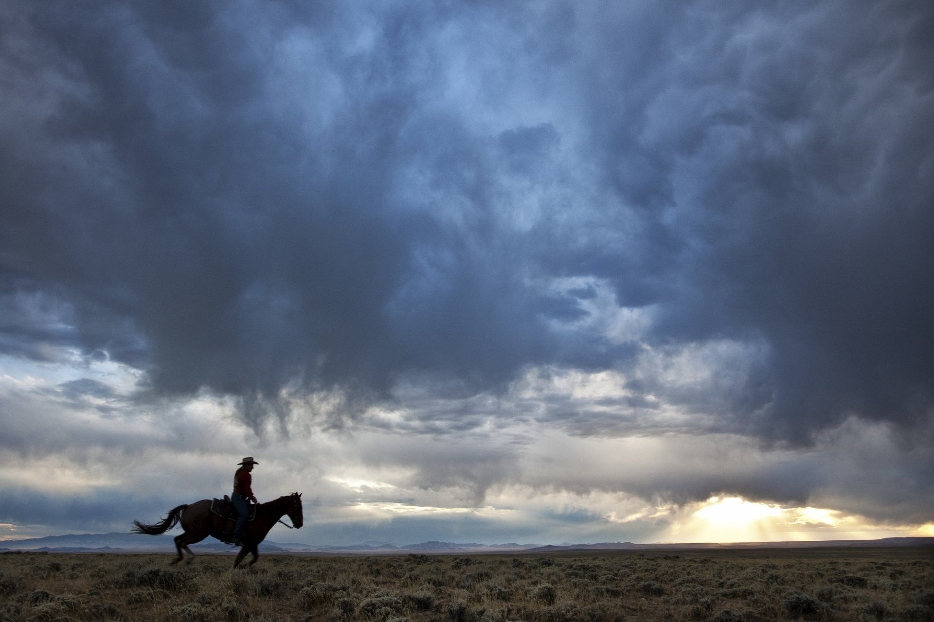 cowboy silhouette horseback free photo