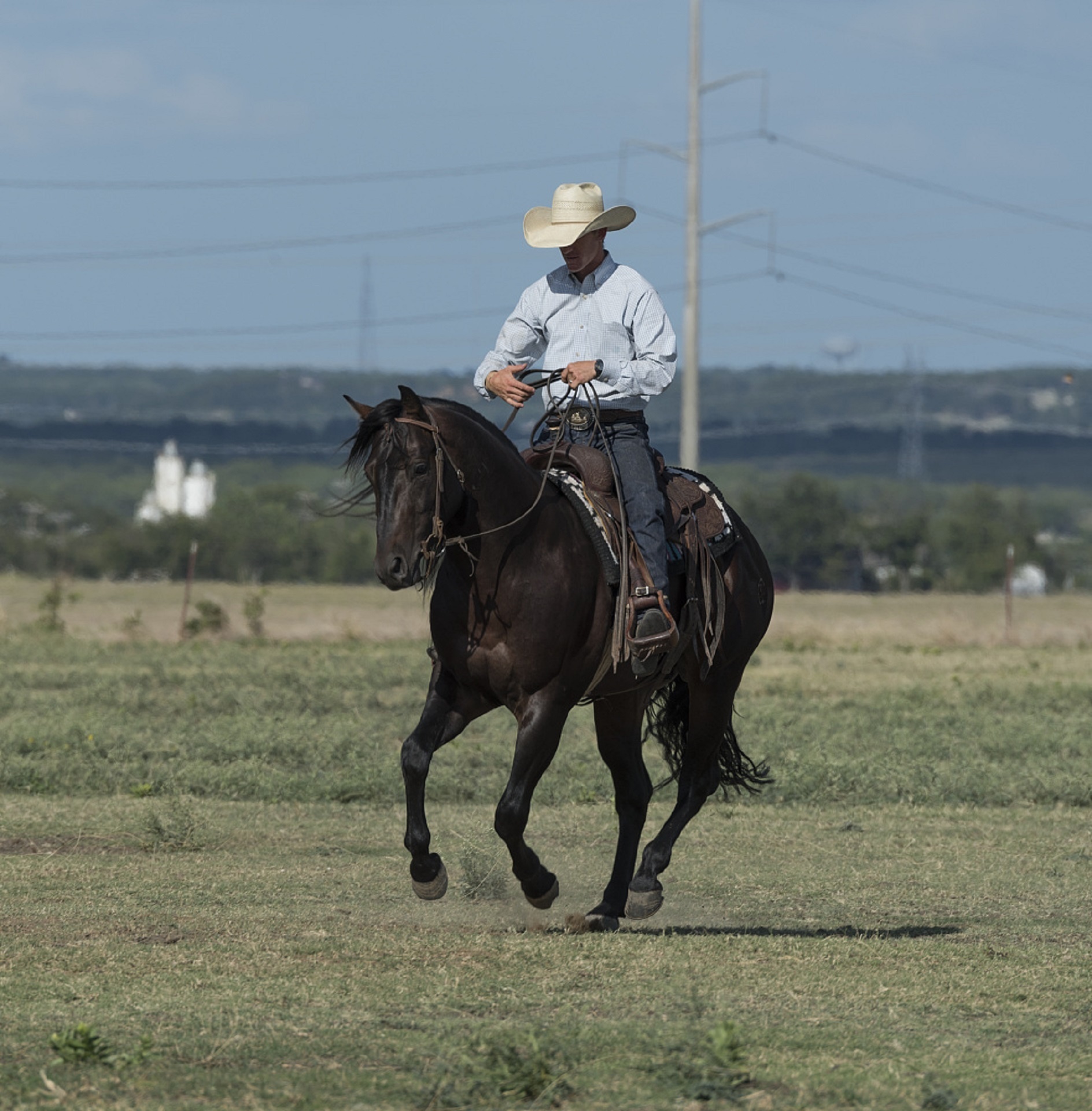 cowboy quarter horse riding free photo