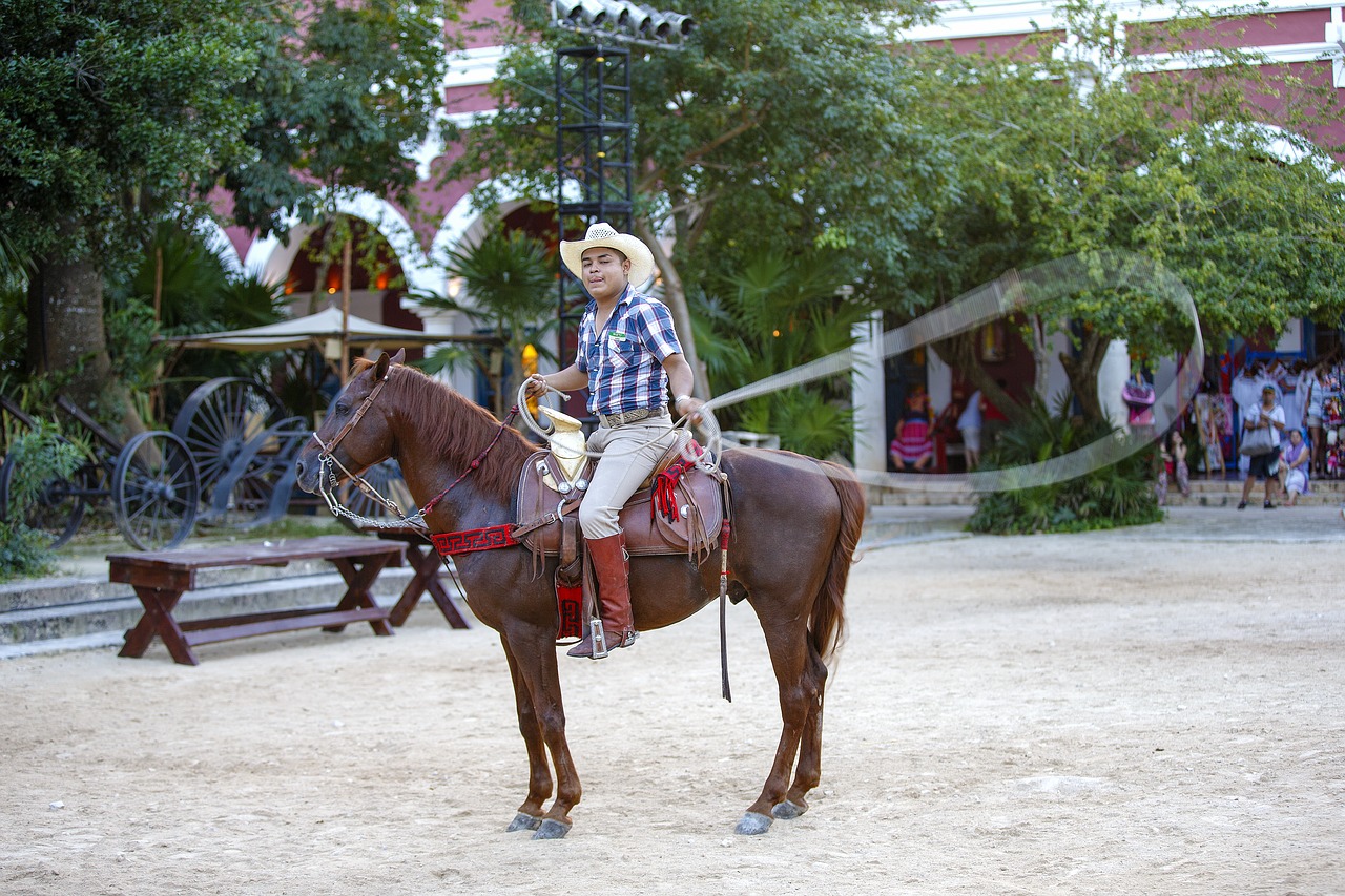 cowboy mexico lasso free photo