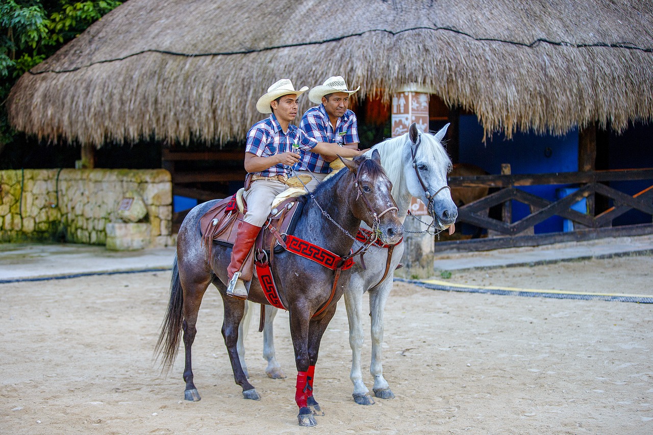 cowboy mexico rider free photo