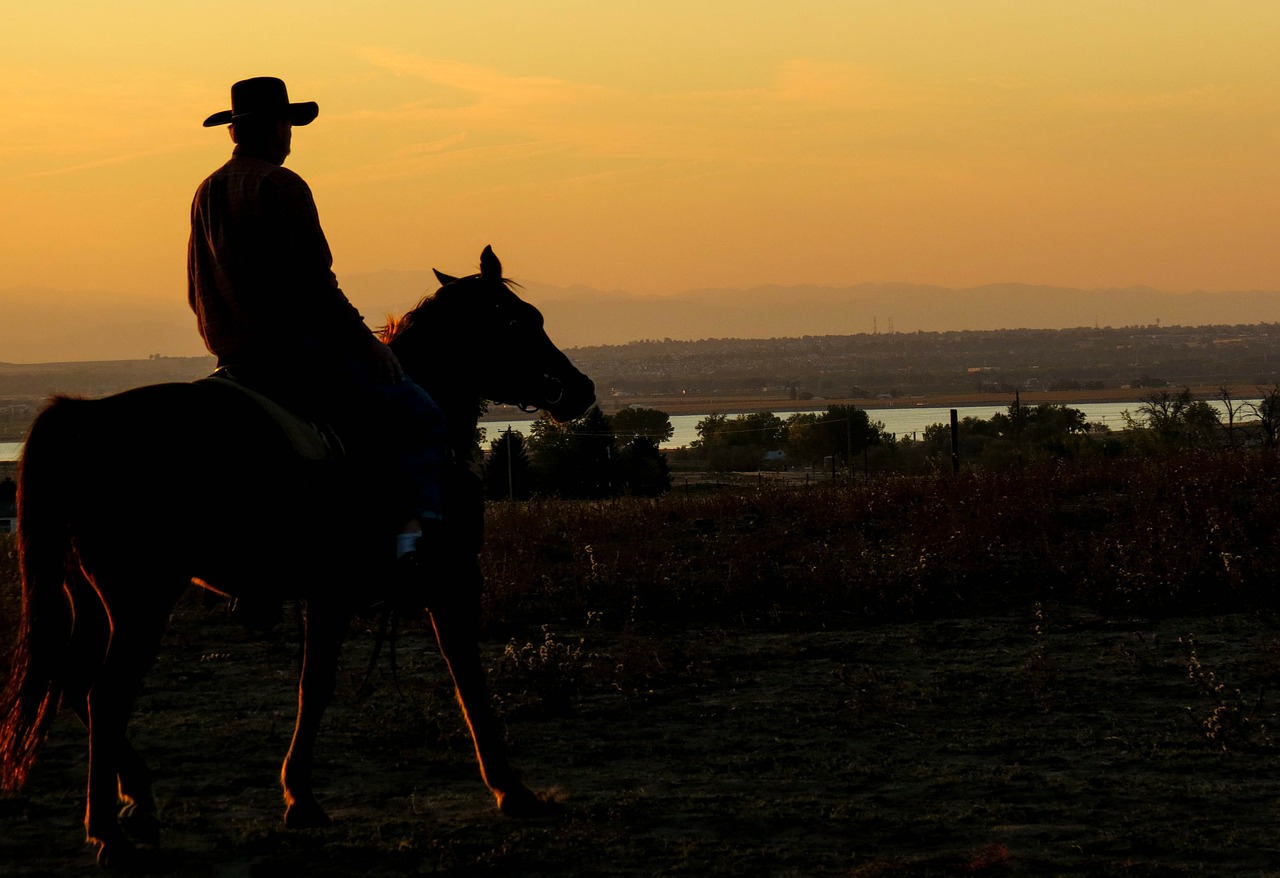 cowboy sunset lake free photo