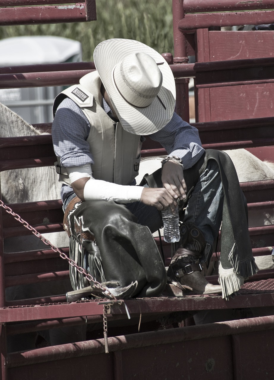 cowboy rodeo western free photo