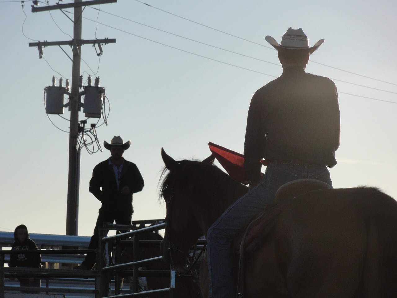 cowboy  horse  rodeo free photo