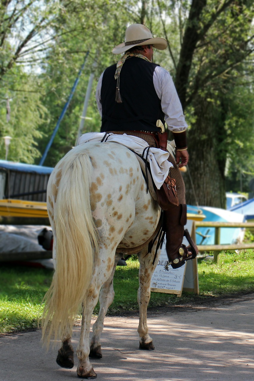 cowboy horse reiter free photo