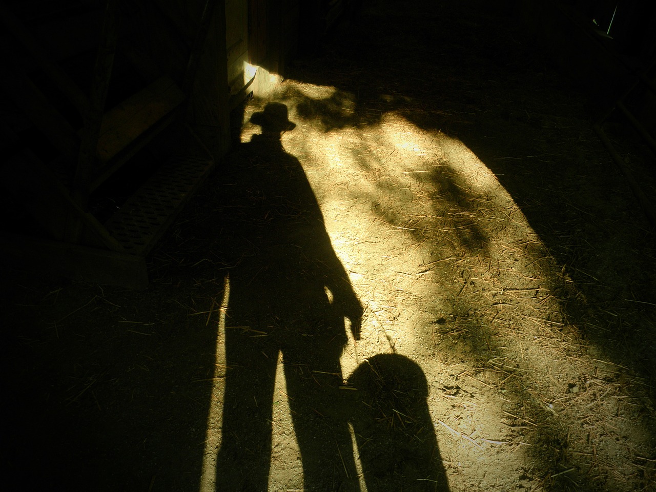 cowboy shadow america free photo