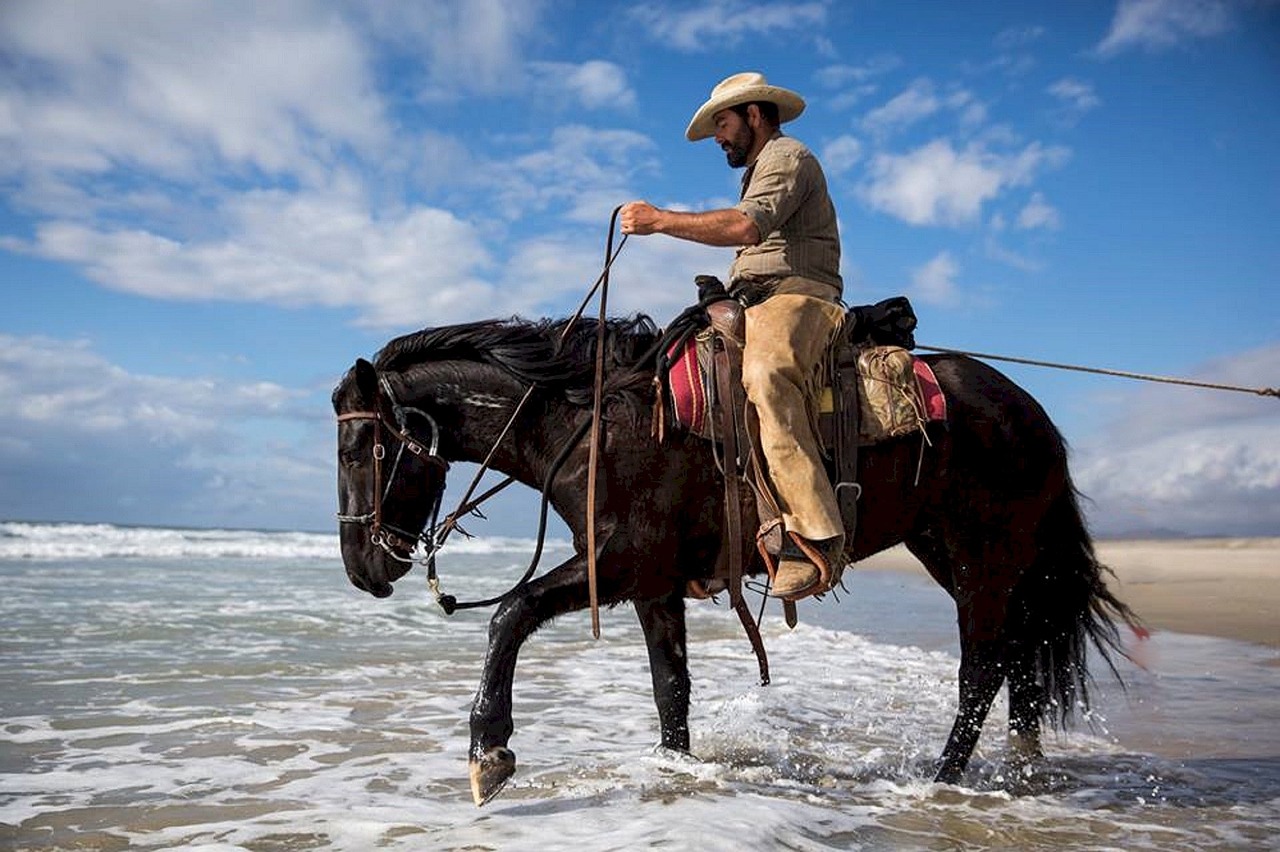 cowboy horse riding free photo