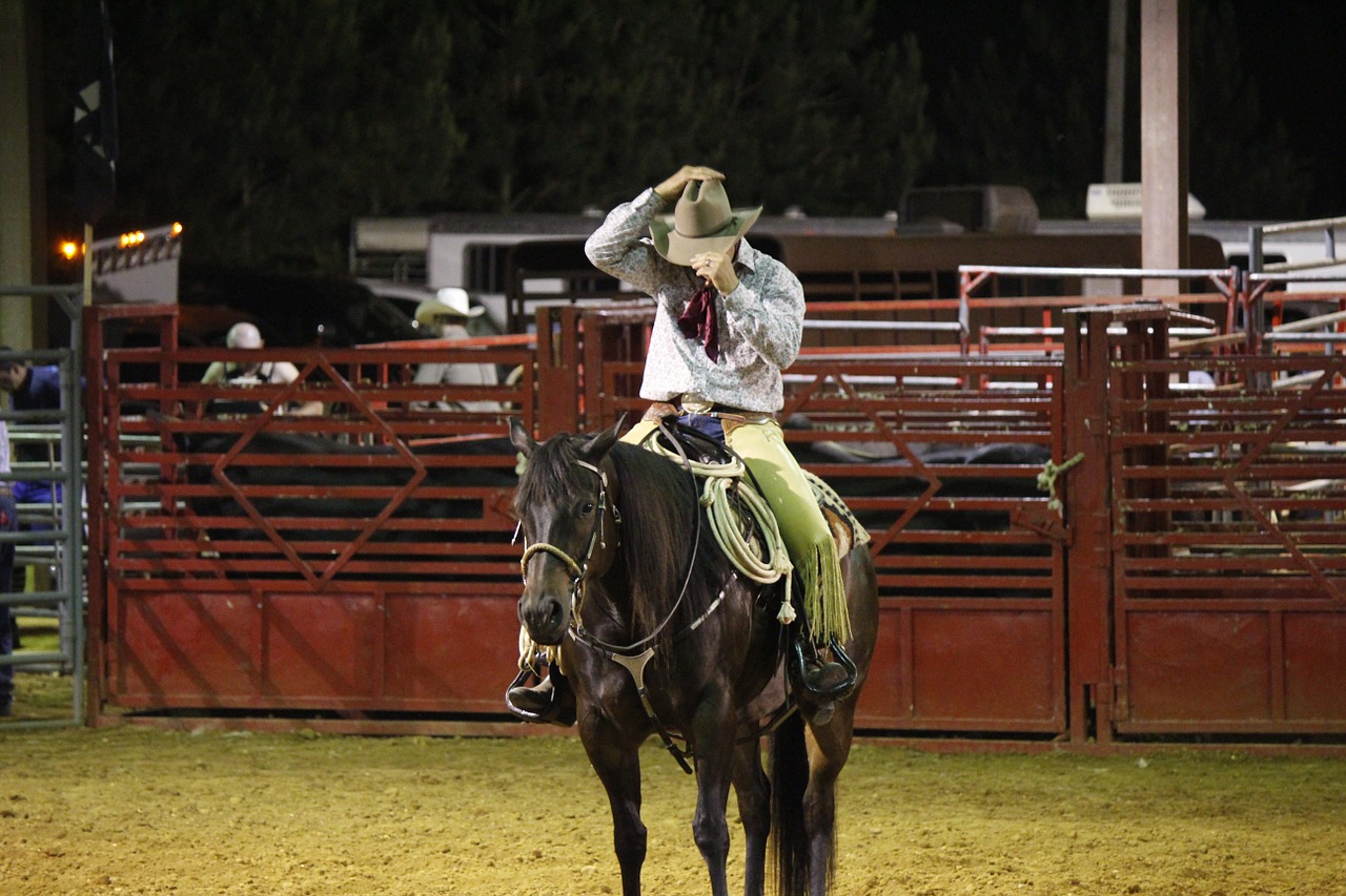 cowboy rodeo horse free photo