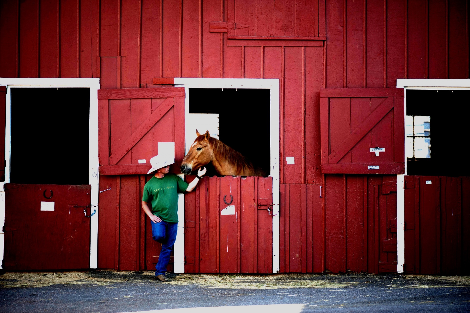 cowboy horse stable free photo
