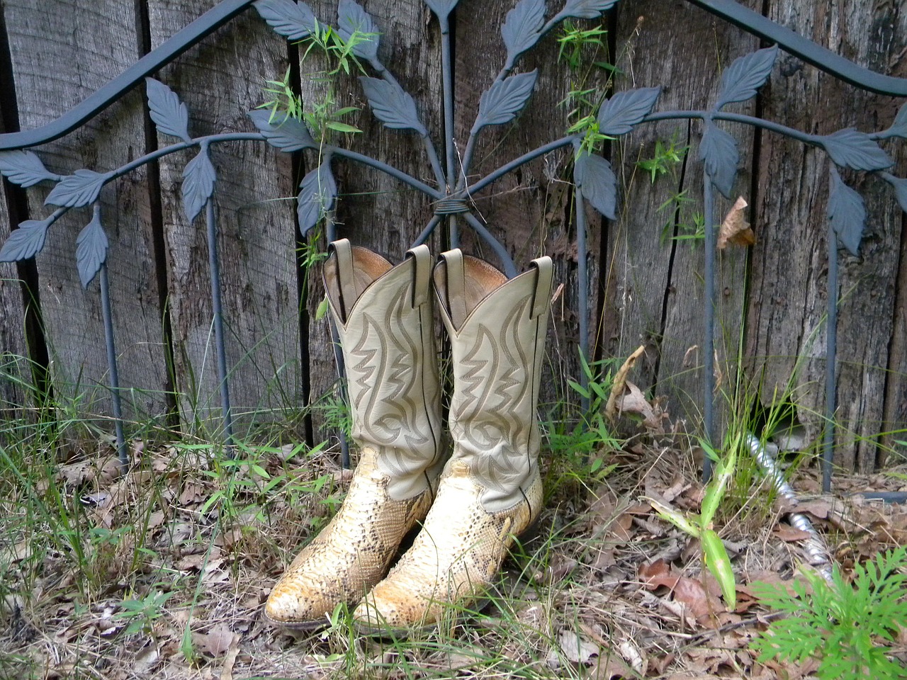 cowboy boots boots garden free photo