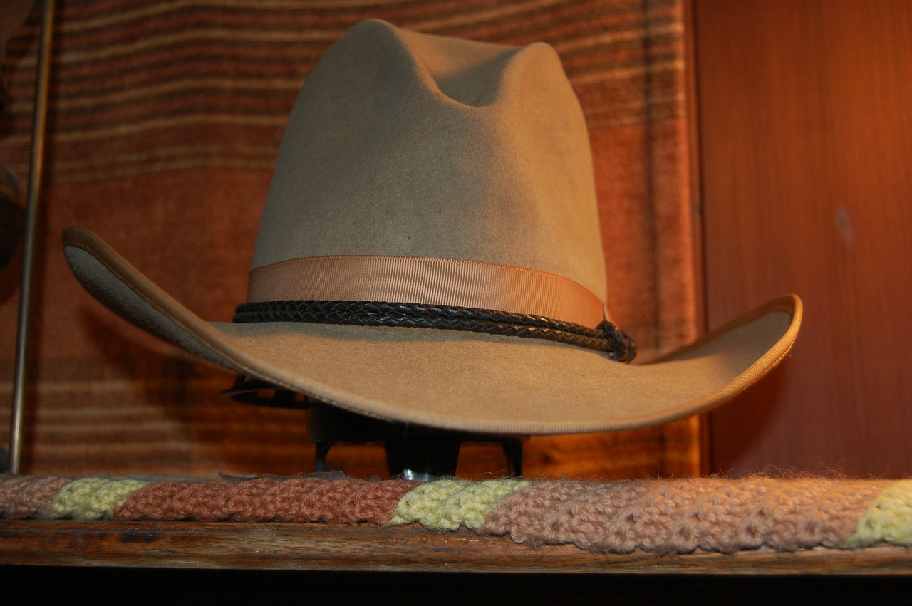 cowboy hat stetson vintage free photo