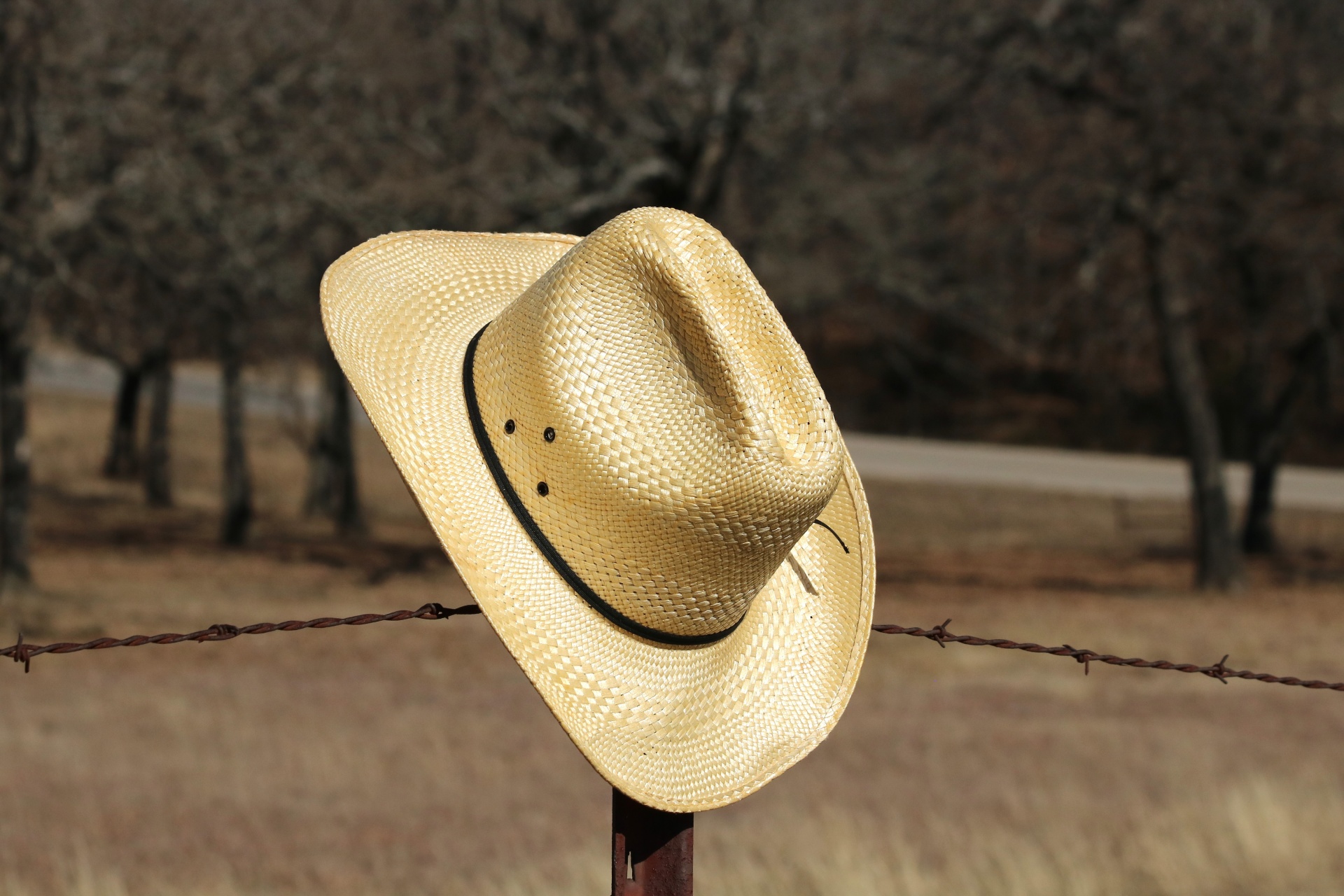 hat straw straw hat free photo