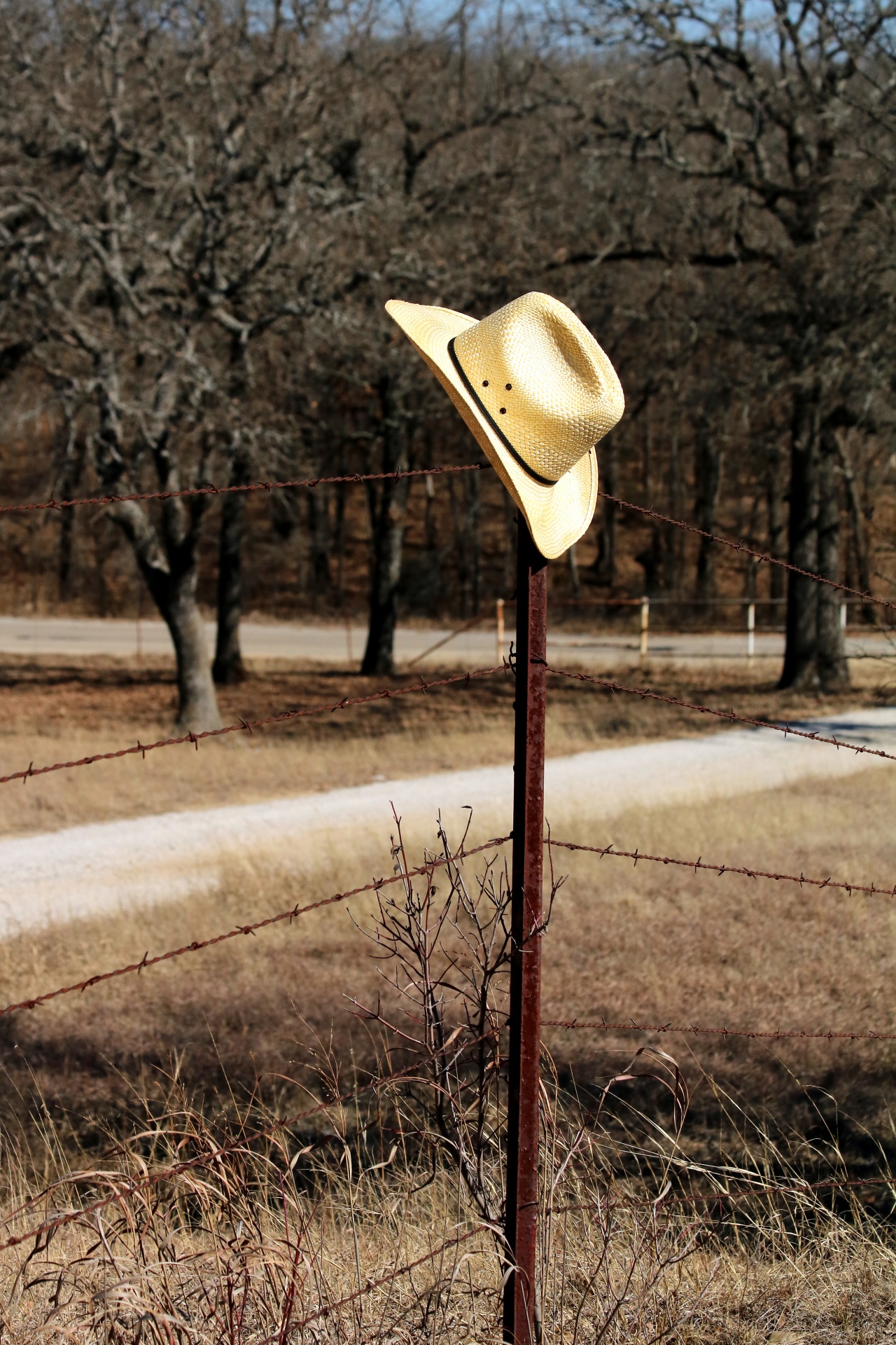 cowboy cowboy hat hat free photo