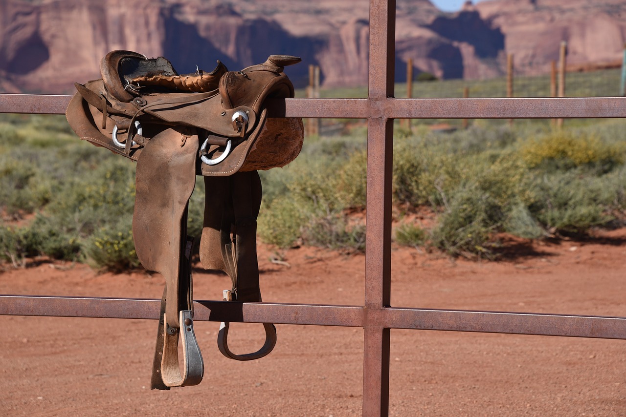 cowboy saddle saddle arizona free photo