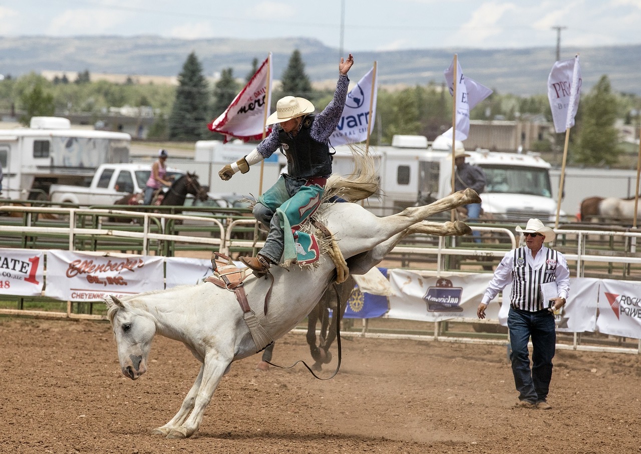 cowboys bronc rider rodeo free photo