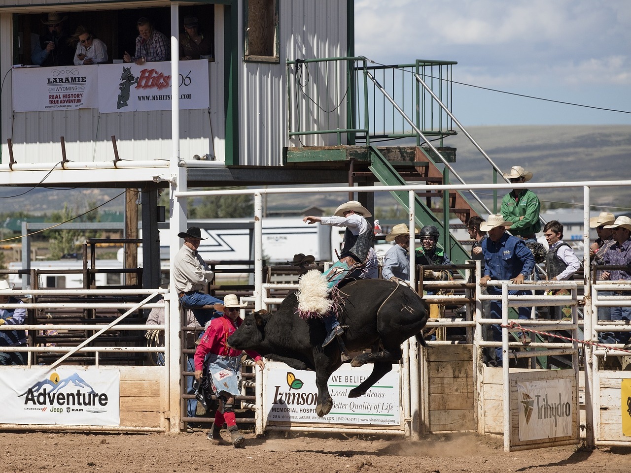 cowboys bull rider rodeo free photo