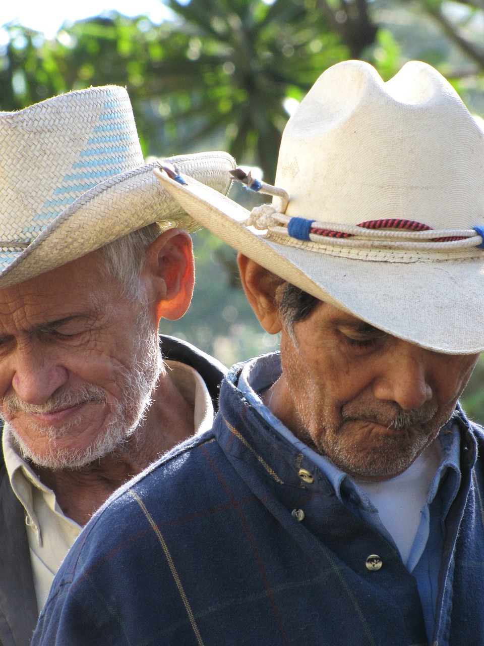 cowboys honduras western free photo