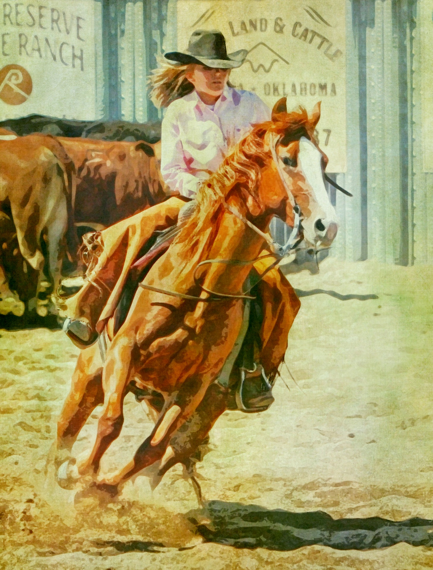 cowgirl rodeo horse free photo