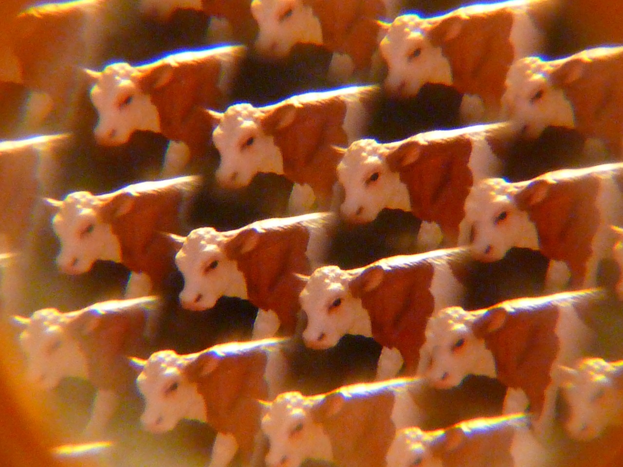 cows kaleidoscope art free photo