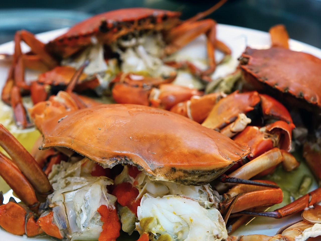 crab steamed seafood free photo