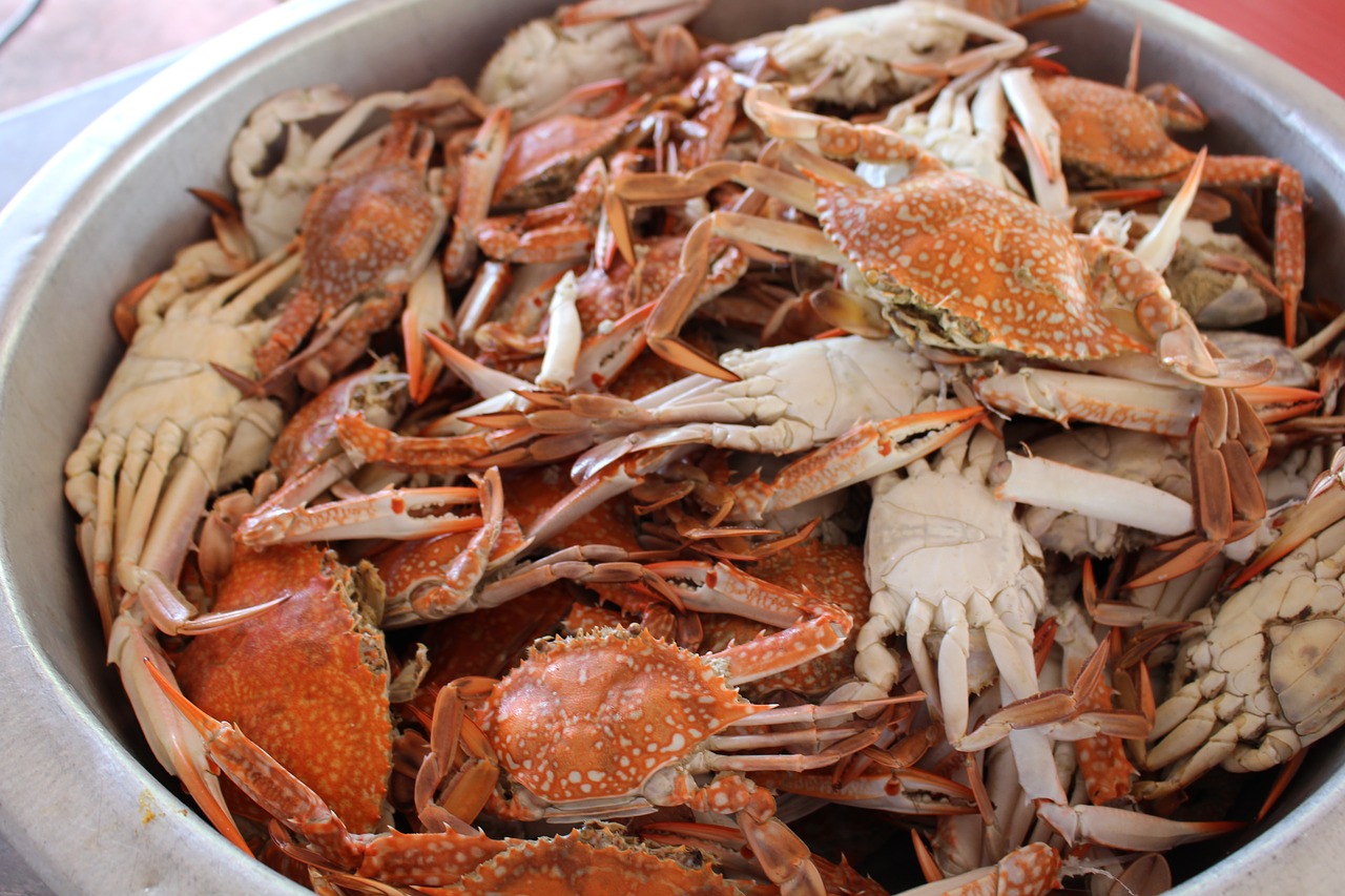 crab food dinner free photo
