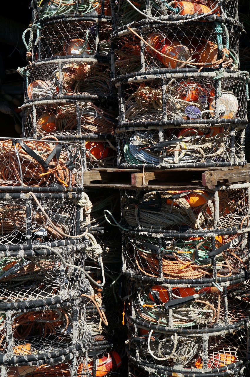 crab pots industry free photo