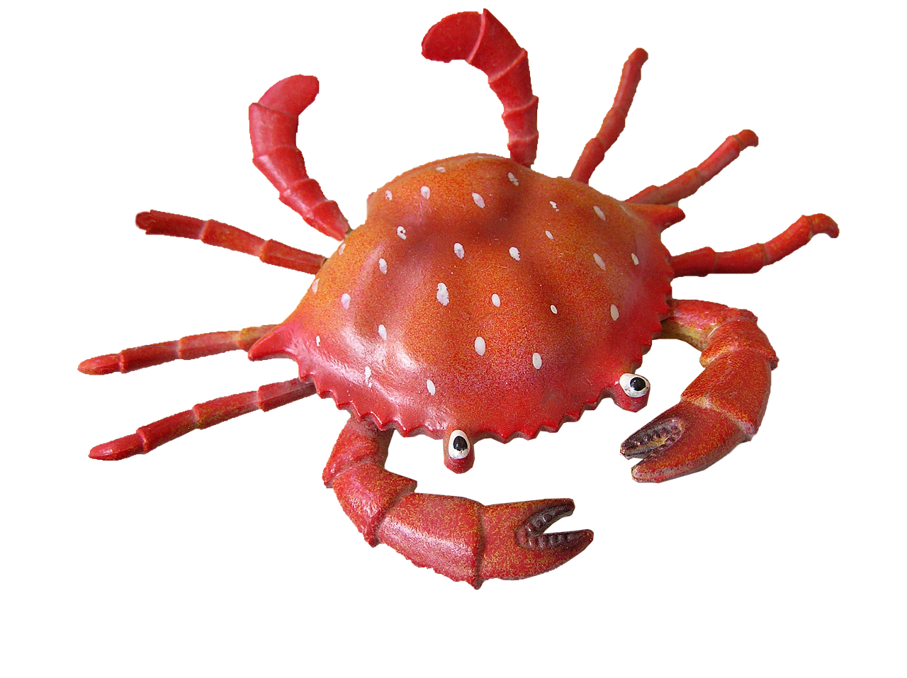 crab cut out free photo