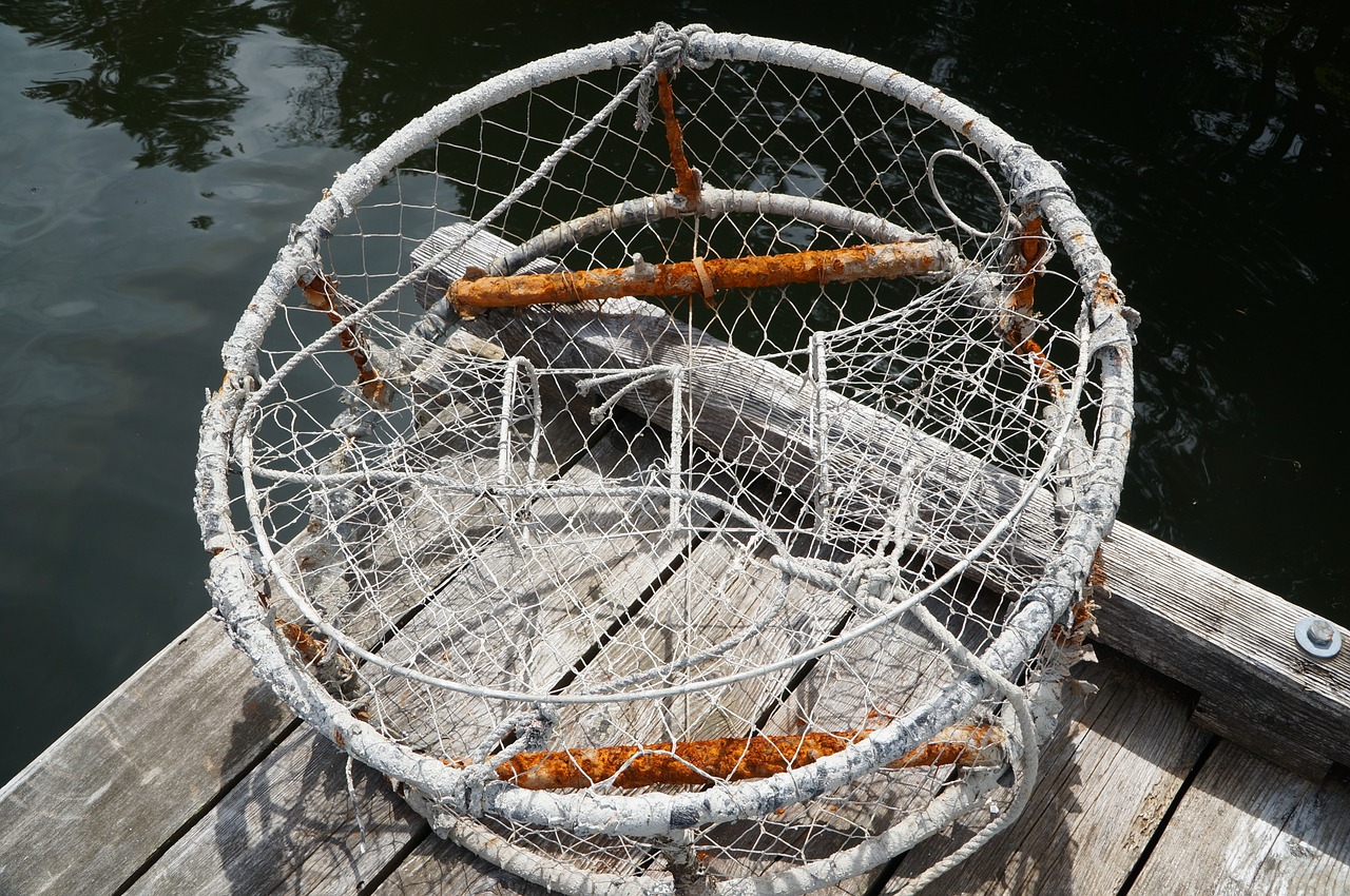 crab  pot  fishing free photo