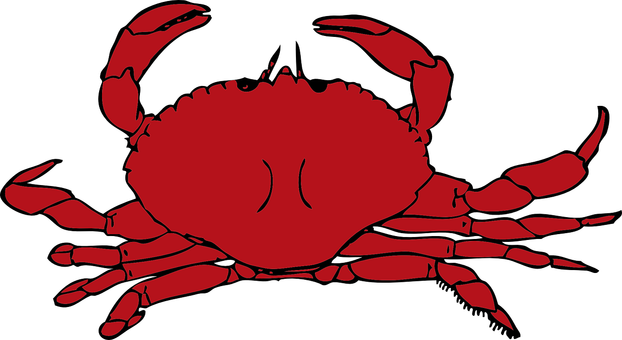 crab red crustaceans free photo