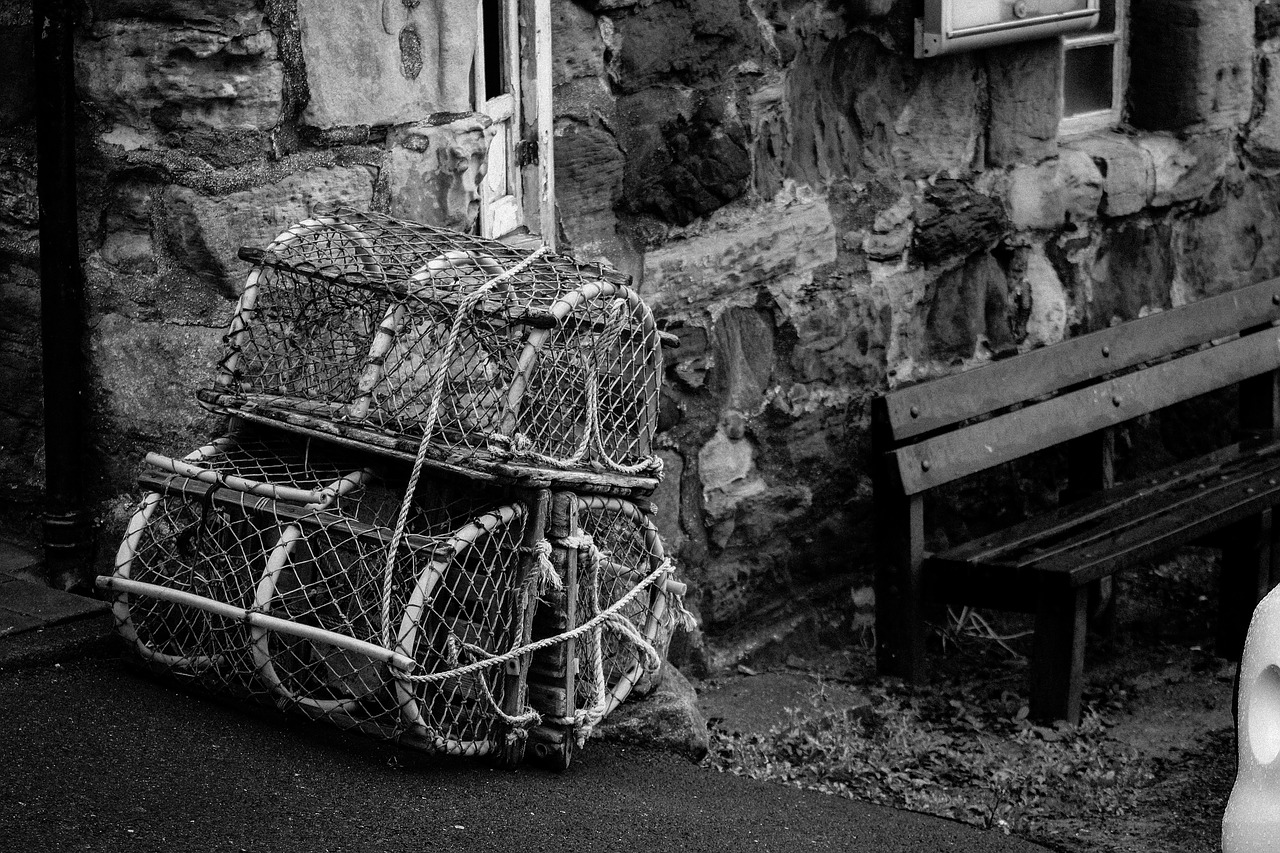 crab baskets scotland fishing free photo