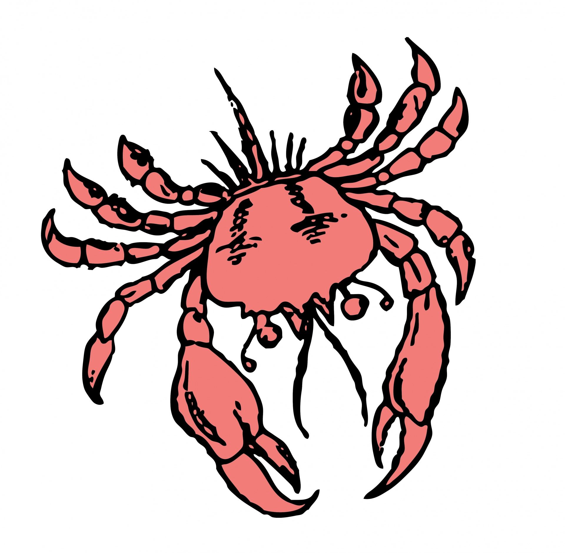 crab illustration clipart free photo