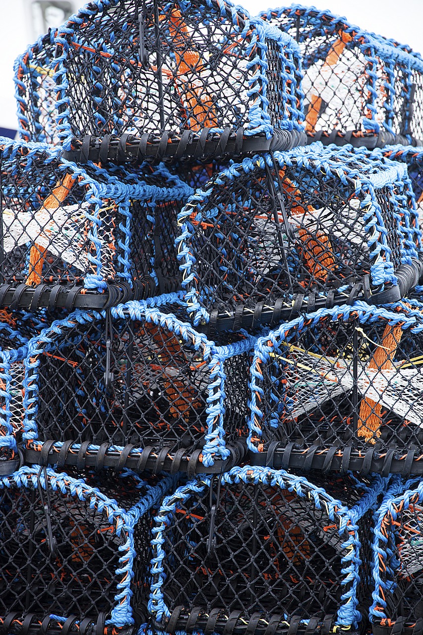 crab pot fishing pot free photo
