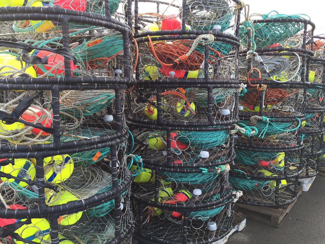 crab pots fishing port free photo