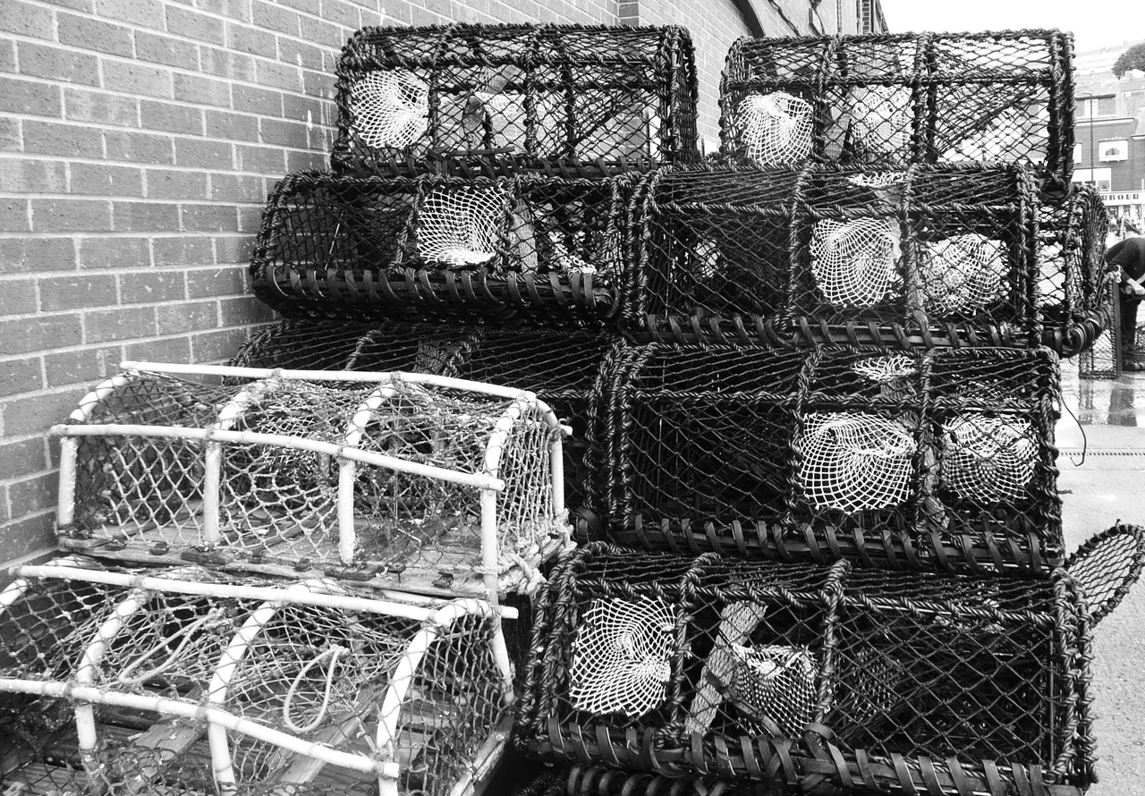 crab trap traps free photo