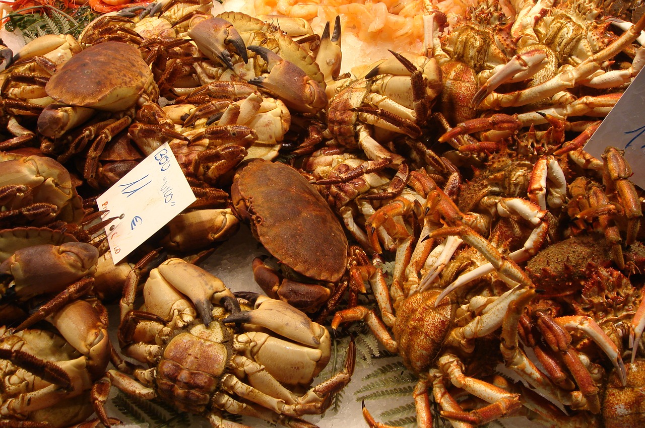 crabs seafood food free photo