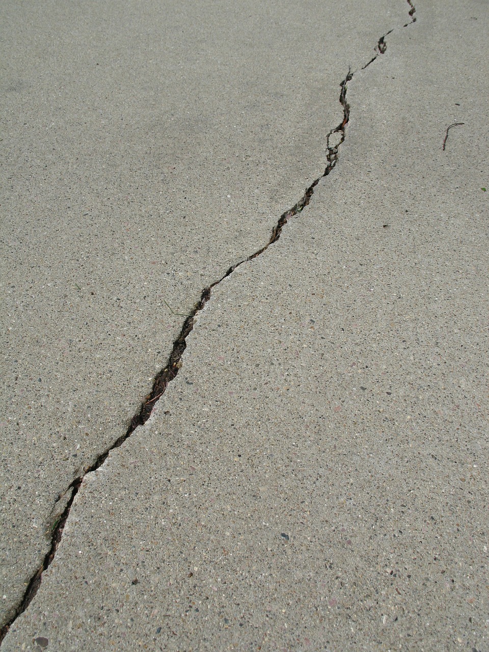 crack cement gray free photo