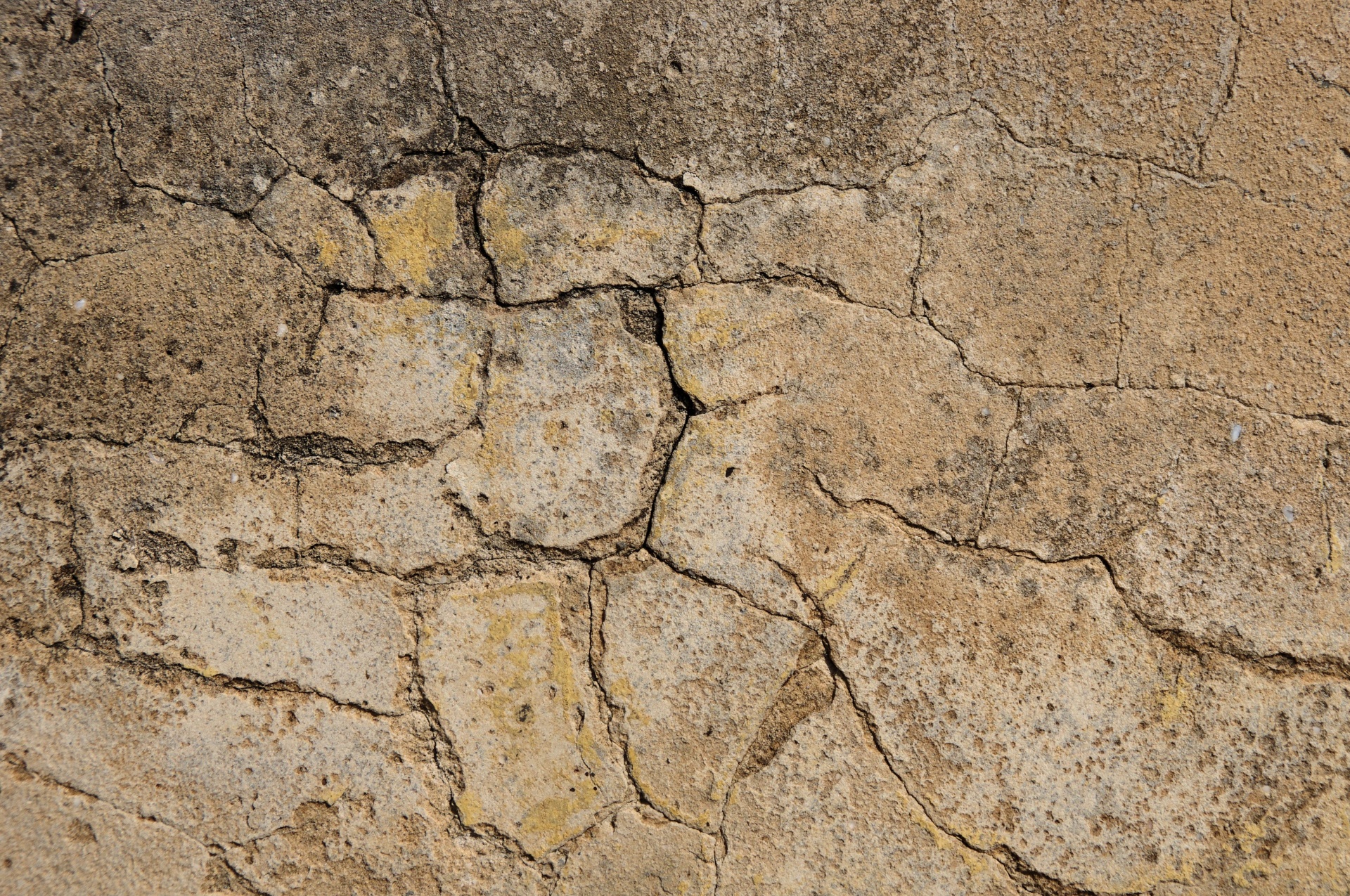 cracked concrete texture free photo