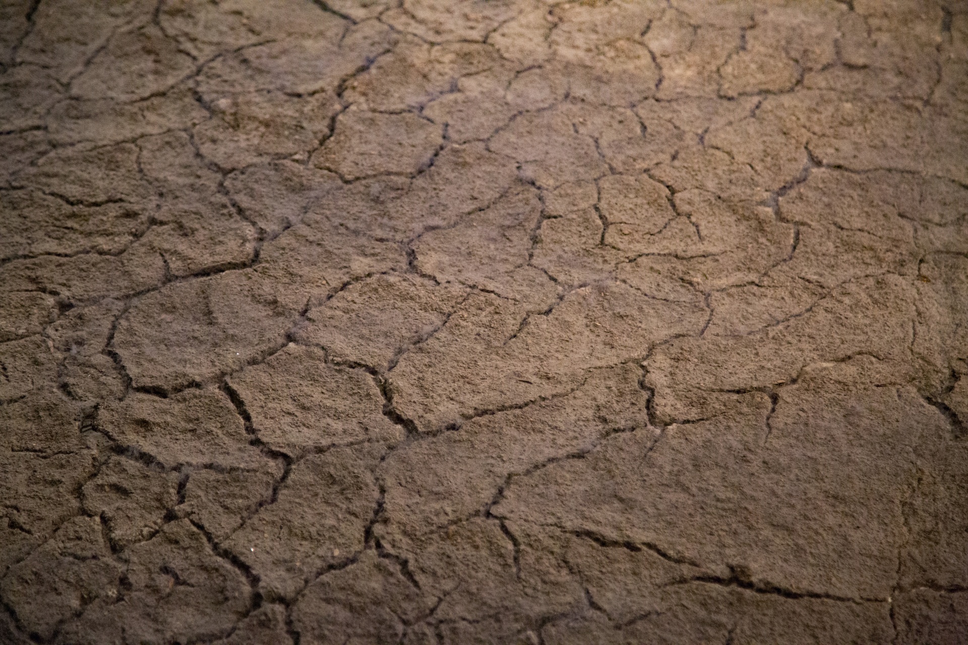 Mud form jagged curly curling Free Image From Needpix