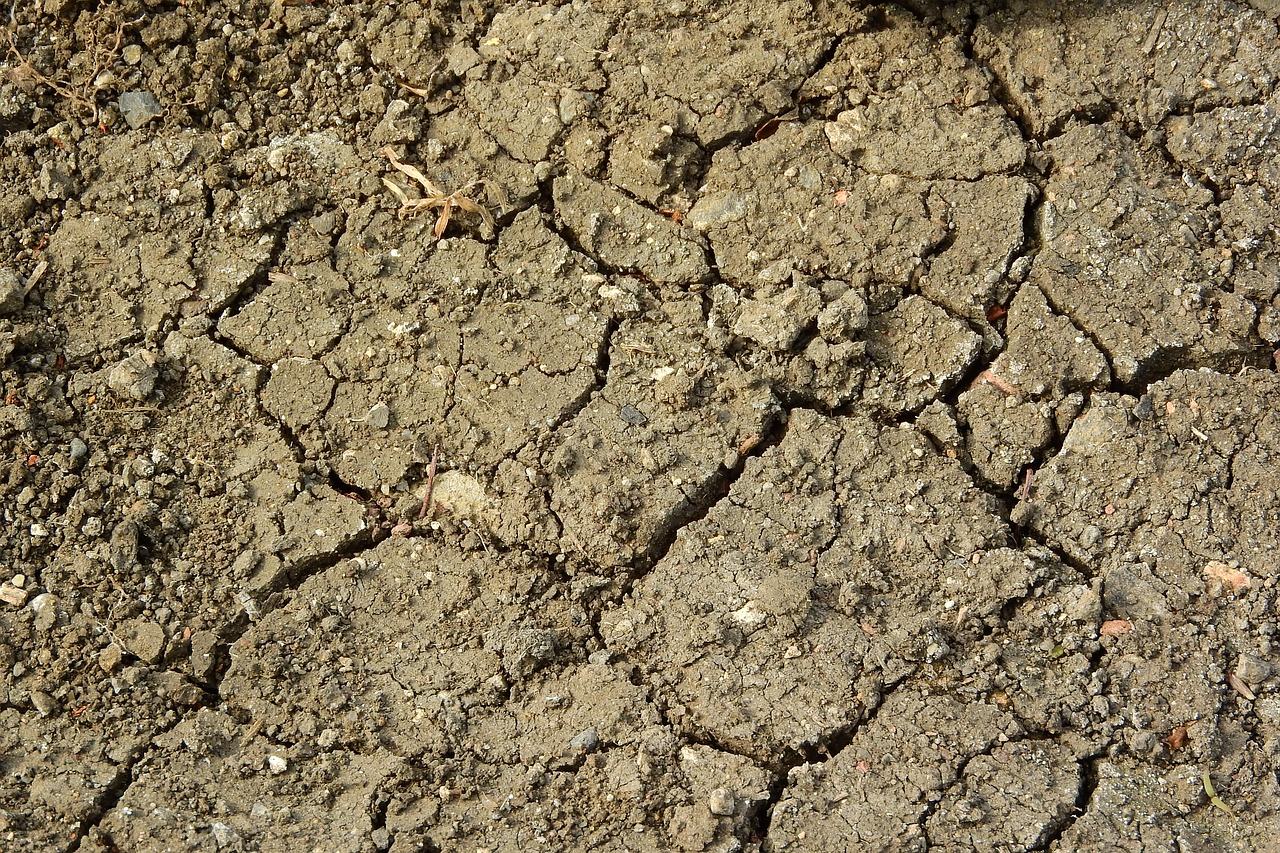 cracked earth drought dry soil free photo