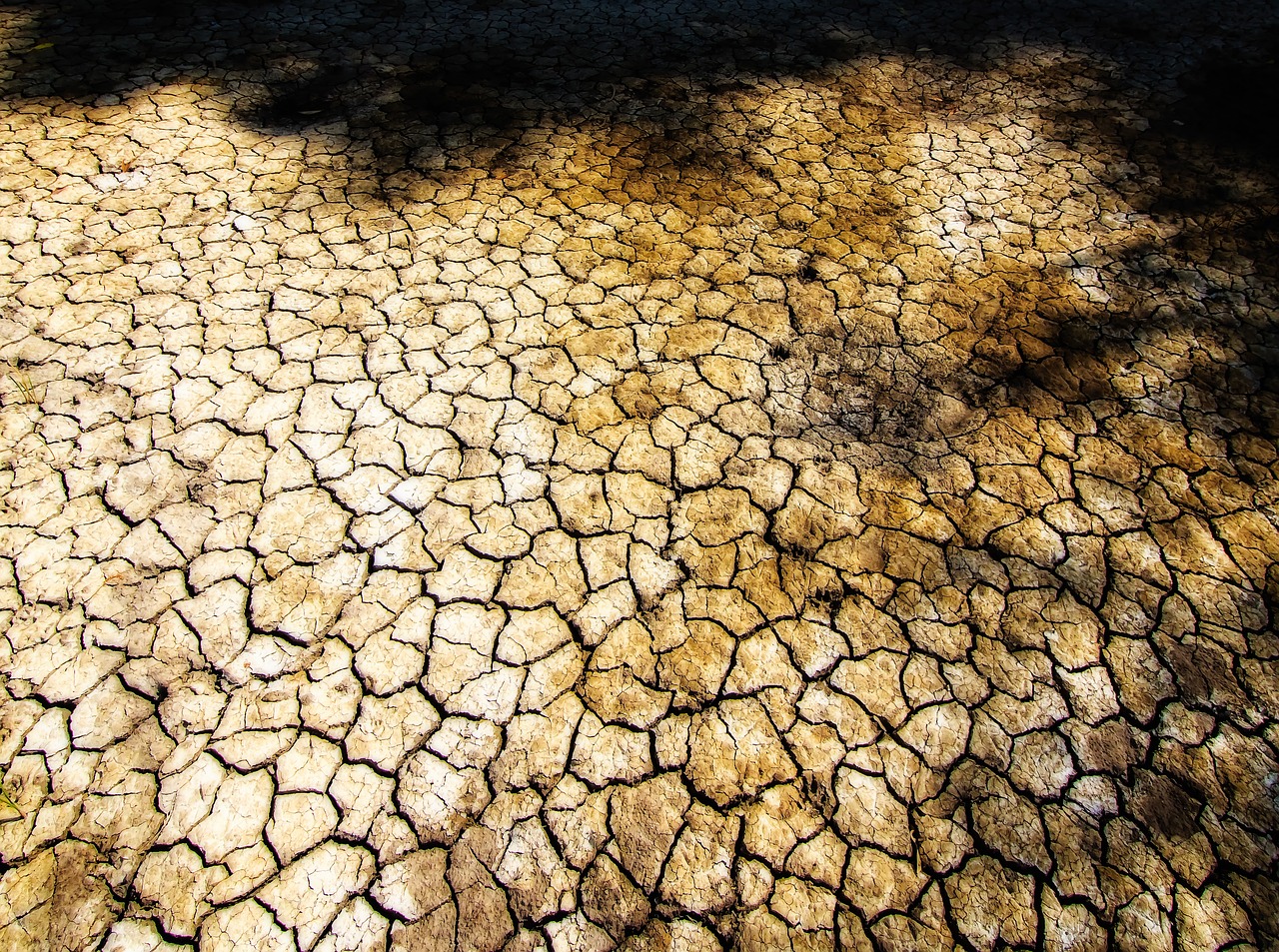 cracked earth dry land mangue free photo