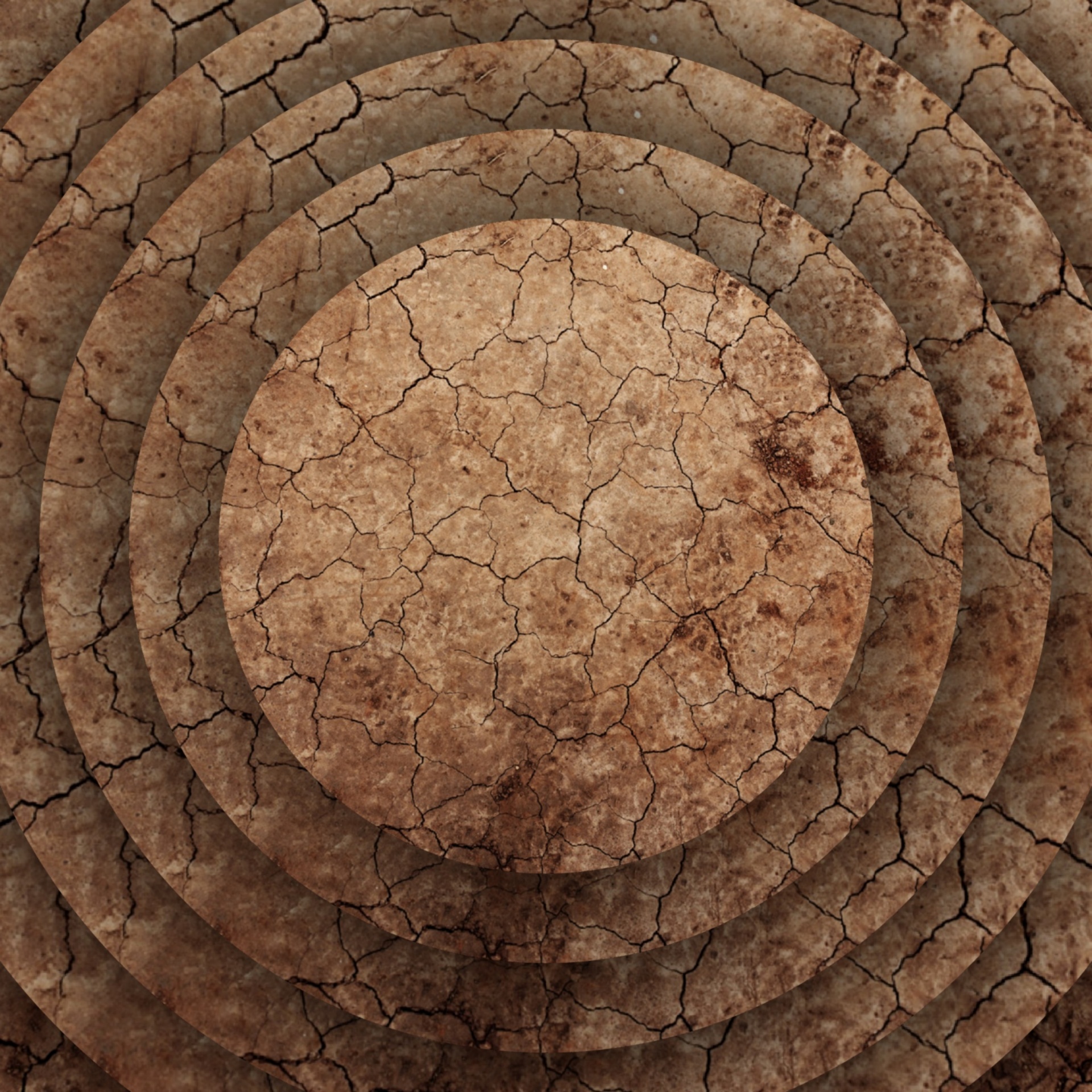 wallpaper concentric dry free photo