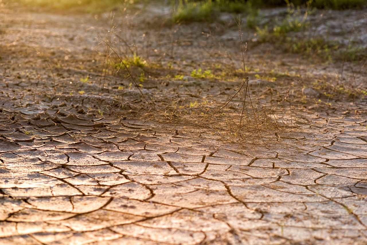 cracked ground desert dirt free photo