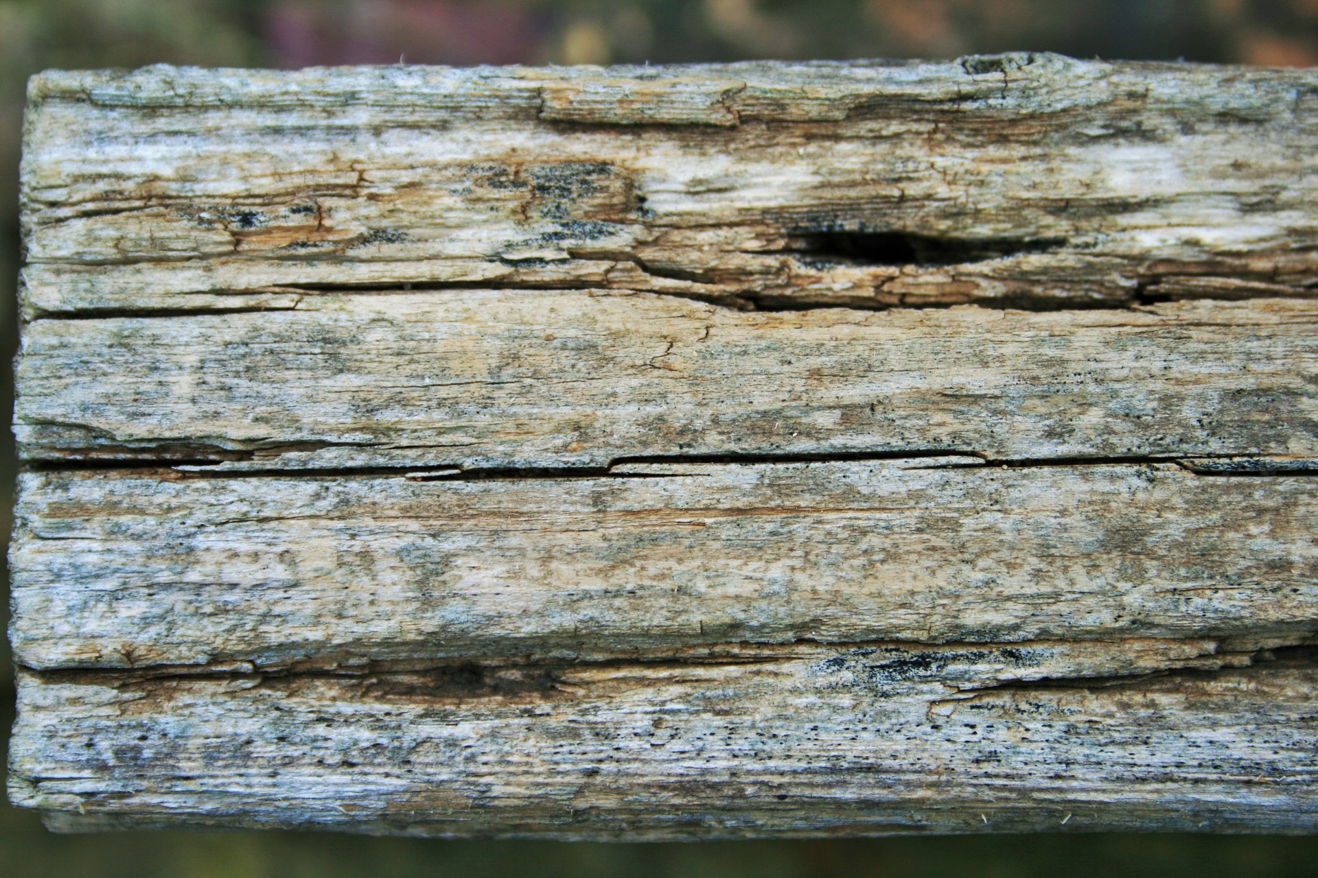plank wood old free photo