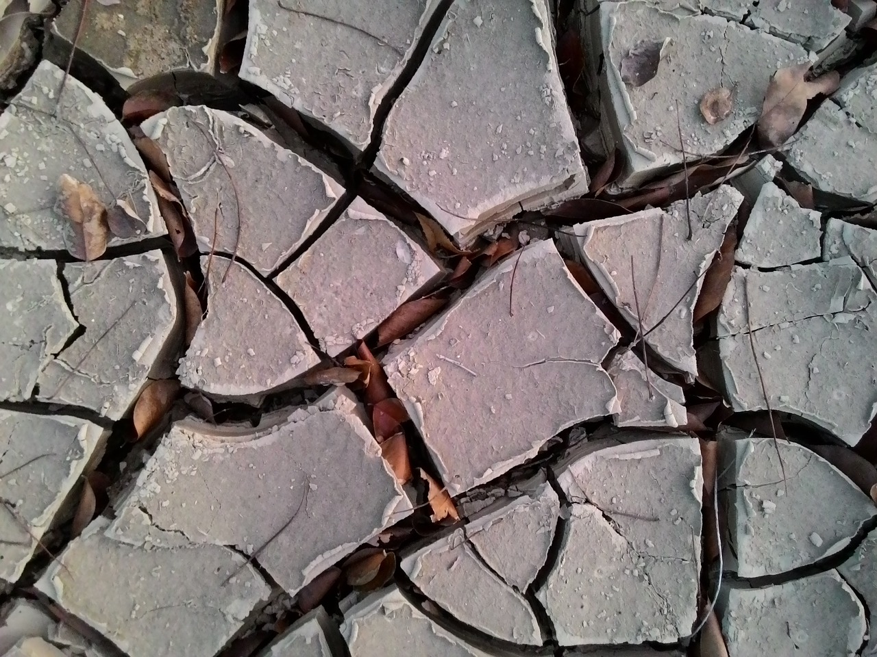 cracked soil drought el nino free photo